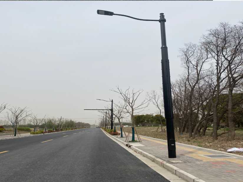 富川瑶族自治县上海综合杆 太阳能路灯工程